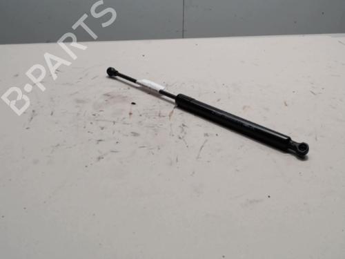 tailgate-lift-support-citroen-ds3-sa_-2009-2010-2011-2012-2013-2014-2015-2016-36726852 main image