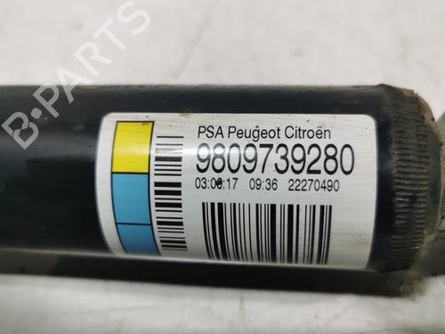 Højre bagtil støddæmper CITROËN C4 CACTUS 1.2 VTi 82 | BP36707159M19 - Image 3