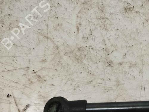 tailgate-lift-support-renault-twingo-ii-cn0_-2007-36713179 main image