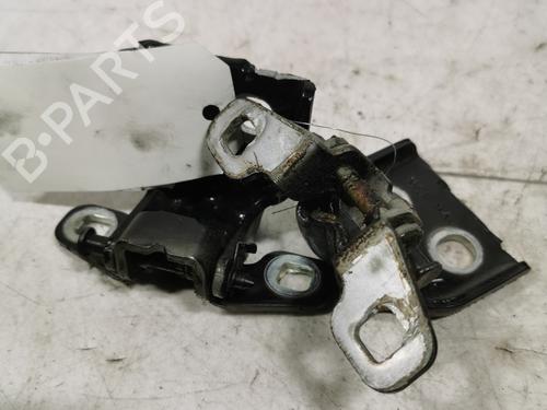 hingedoor-check-strap-dacia-duster-hs_-2010-2011-2012-2013-2014-2015-2016-2017-2018-36717612 main image