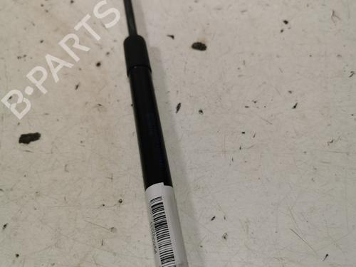 tailgate-lift-support-renault-twingo-ii-cn0_-2007-36708121 main image