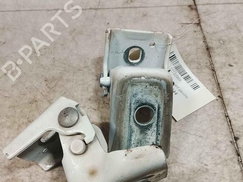 hingedoor-check-strap-citroen-ds3-sa_-2009-2010-2011-2012-2013-2014-2015-2016-36715384 main image
