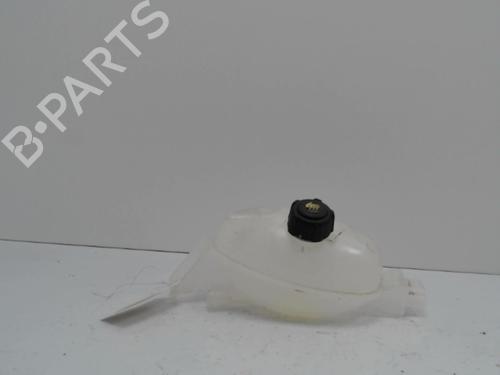 Vaso de expansão Vaso de expansão RENAULT MASTER III Van (FV) [2010-2026] 36736953 36736953