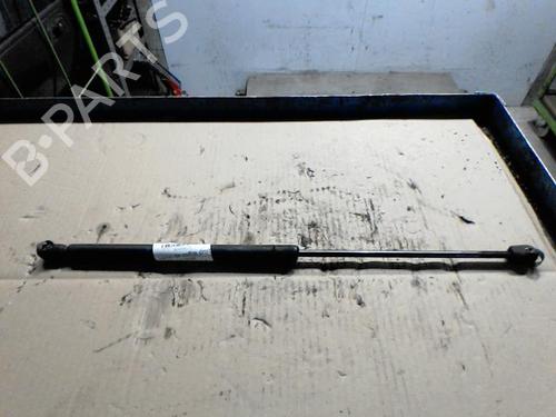 Used Tailgate lift support Tailgate lift support FORD FOCUS I Turnier (DNW) [1999-2007] 36749656 36749656