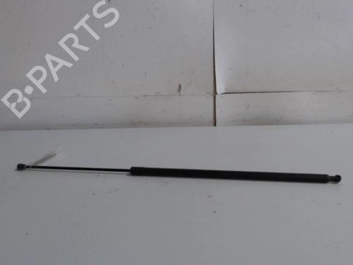 tailgate-lift-support-renault-kangoo-express-fw01_-2008-36734710 main image