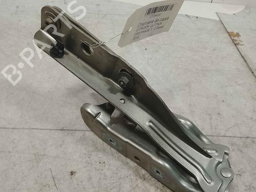 Hinge/Door check strap CITROËN DS5 | BP36715177C146 - Image 2