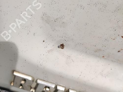Left tailgate RENAULT KANGOO (KC0/1_) D 55 1.9 (KC0D) | BP36719996C76 - Image 3