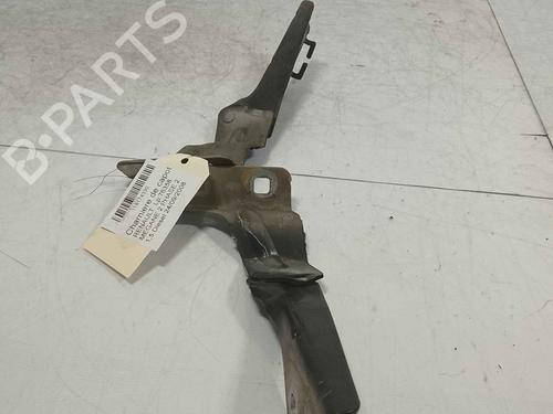 hingedoor-check-strap-renault-megane-ii-saloon-lm01_-2003-36712539 main image