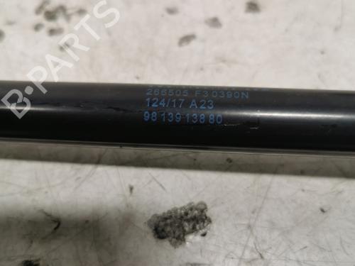 tailgate-lift-support-citroen-c4-cactus-2014-36707173 main image