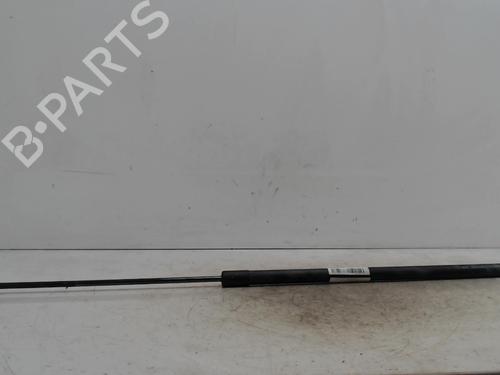 tailgate-lift-support-renault-kangoo-express-fc01_-1997-36744391 main image