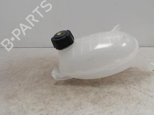 Ekspansjonstank Ekspansjonstank RENAULT EXPRESS Box Body/MPV [2021-2026] 36747153 36747153