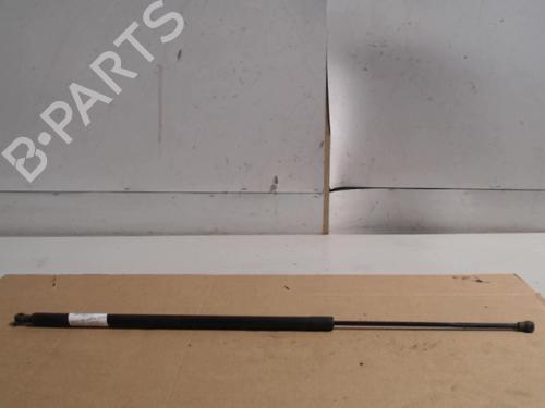 tailgate-lift-support-renault-kangoo-grand-kangoo-ii-kw01_-2008-36736732 main image