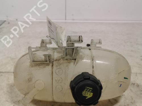 Ekpansionstank Ekpansionstank RENAULT TRAFIC III Van (FG_) 1.6 dCi 95 (FGMJ, FGMR) (95 hp) 36719539 36719539