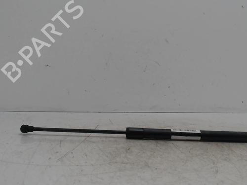 tailgate-lift-support-renault-scenic-iii-jz01_-2008-2009-2010-2011-2012-2013-2014-2015-2016-36739350 main image
