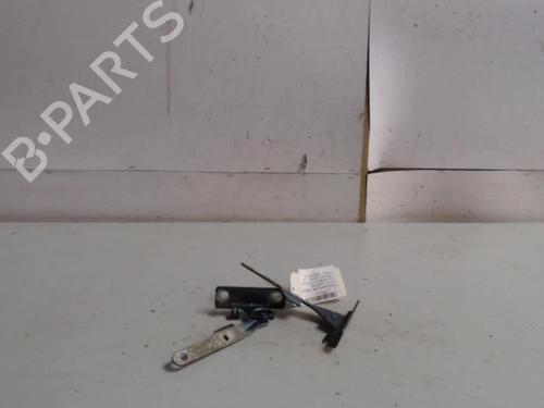 hingedoor-check-strap-dacia-logan-mcv-ks_-2007-36732841 main image