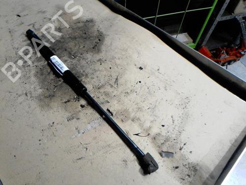 tailgate-lift-support-renault-clio-iii-br01-cr01-2005-2006-2007-2008-2009-2010-2011-2012-2013-2014-36748551 main image