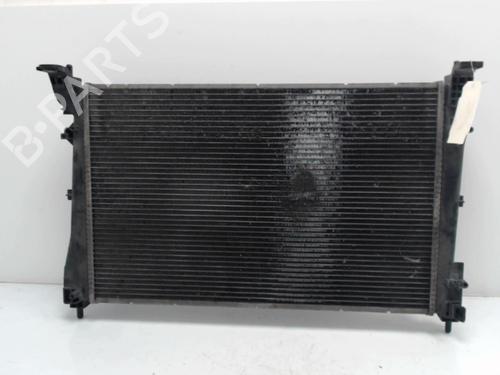 Radiador de água Radiador de água FIAT DOBLO Bus (263_) [2009-2023] 36737700 36737700
