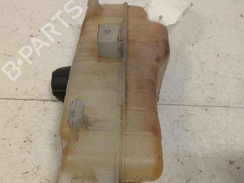 expansion-tank-renault-clio-iii-grandtour-kr01_-2007-36717449 main image
