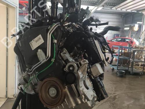 Engine RENAULT EXPRESS Box Body/MPV | BP36747132M1 - Image 2