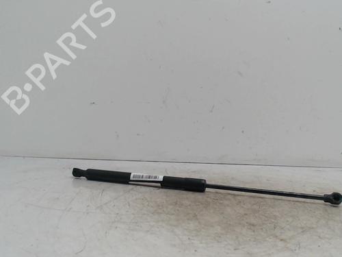 tailgate-lift-support-dacia-sandero-ii-2012-36739767 main image