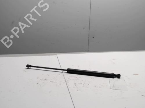 tailgate-lift-support-citroen-c3-ii-sc_-2009-36725873 main image