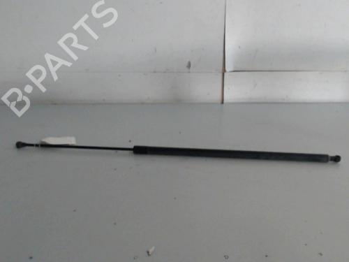 gasdmper-bagklap-renault-kangoo-express-fw01_-2008-36734704 main image