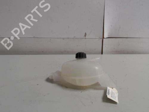 expansion-tank-renault-master-iii-van-fv-2010-36732834 main image