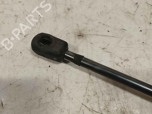 tailgate-lift-support-ford-fiesta-vi-cb1-ccn-2008-36716173 main image