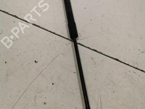 tailgate-lift-support-citroen-c3-iii-sx-2016-36704826 main image