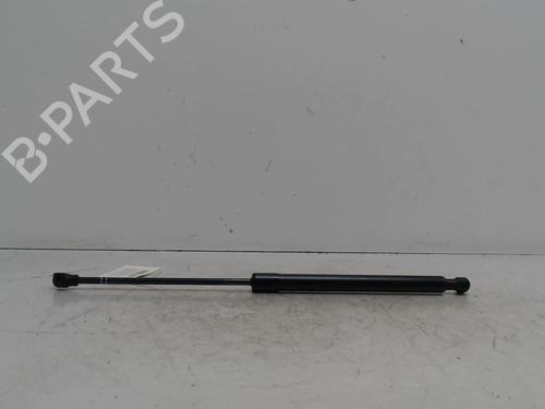 Tailgate lift support DACIA SANDERO II | BP36739012C138 - Image 2