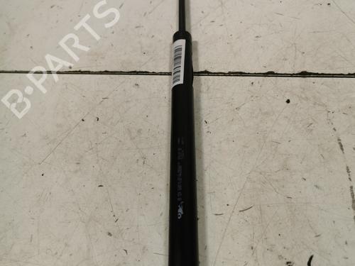 tailgate-lift-support-peugeot-206-2l_-2m_-2009-2010-2011-2012-2013-36708013 main image