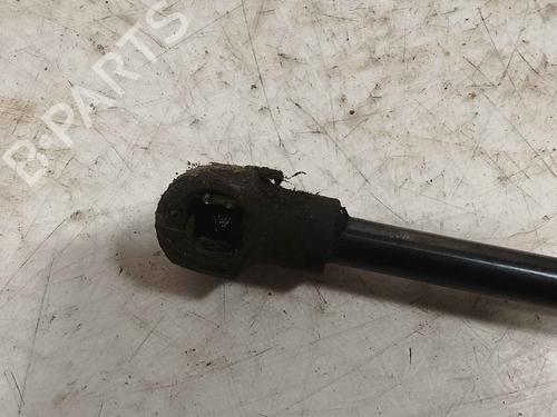 tailgate-lift-support-renault-koleos-i-hy_-2008-36712987 main image