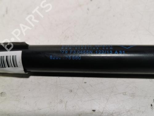 tailgate-lift-support-renault-twingo-ii-cn0_-2007-36708120 main image