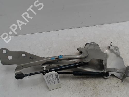 hingedoor-check-strap-renault-scenic-iii-jz01_-2008-2009-2010-2011-2012-2013-2014-2015-2016-36743638 main image