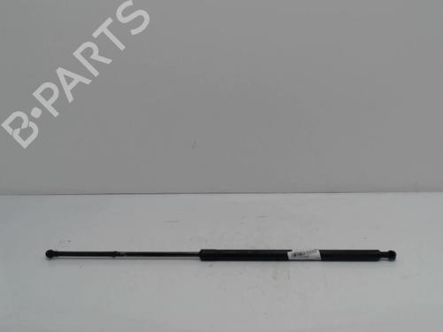 tailgate-lift-support-renault-kangoo-express-fc01_-1997-36737606 main image