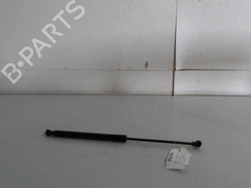 tailgate-lift-support-dacia-sandero-ii-2012-36734606 main image