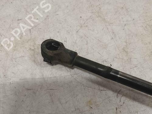 tailgate-lift-support-fiat-punto-199_-2012-36714281 main image