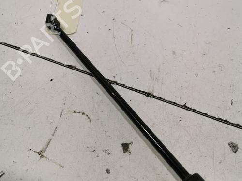 tailgate-lift-support-ford-grand-c-max-dxacb7-dxaceu-2010-2011-2012-2013-2014-2015-2016-2017-2018-2019-36707315 main image