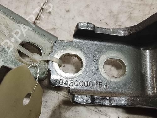 hingedoor-check-strap-renault-captur-i-j5_-h5_-2013-36712247 main image