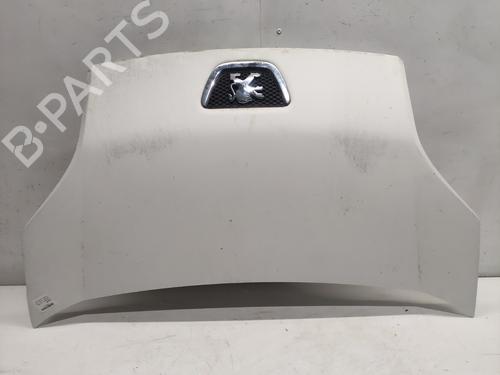 hood-peugeot-bipper-aa_-2008-36711793 main image
