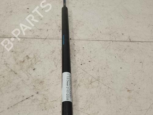 tailgate-lift-support-citroen-c4-grand-picasso-i-ua_-2006-2007-2008-2009-2010-2011-2012-2013-36717186 main image