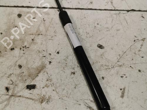 tailgate-lift-support-renault-megane-iii-hatchback-bz01_-b3_-2008-36707417 main image