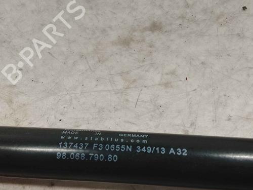 tailgate-lift-support-citroen-c4-picasso-ii-2013-36715148 main image