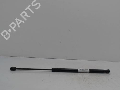tailgate-lift-support-renault-scenic-ii-jm01_-2003-2004-2005-2006-2007-2008-2009-2010-36737795 main image