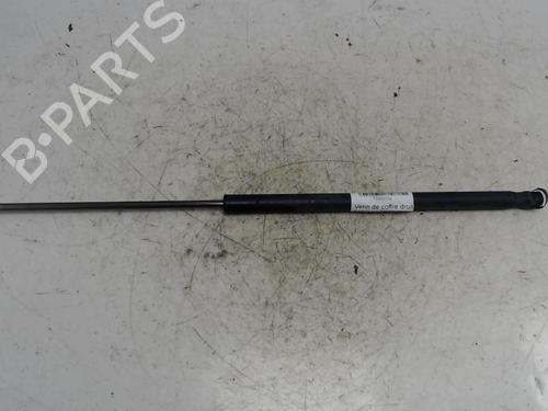 tailgate-lift-support-ford-c-max-dm2-2007-2008-2009-2010-36744873 main image