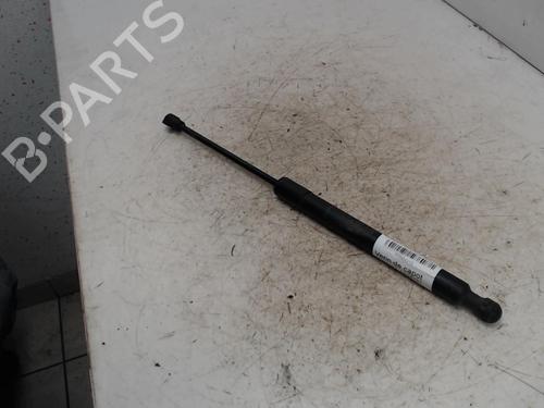 hood-lift-support-renault-clio-iv-bh_-2012-2013-2014-2015-2016-2017-2018-2019-2020-2021-36745844 main image