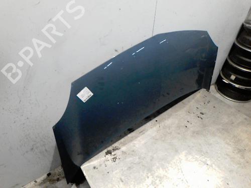 hood-renault-kangoo-express-fw01_-2008-36739139 main image