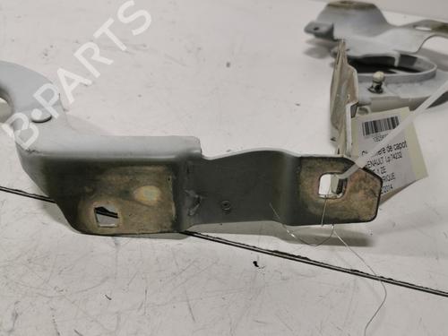 hingedoor-check-strap-renault-zoe-bfm_-2012-37733634 main image