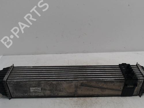 Intercooler Intercooler RENAULT LAGUNA III (BT0/1) 2.0 dCi (BT01, BT08, BT09, BT0E, BT0K, BT12, BT1C, BT1D,... (150 hp) 36739405 36739405
