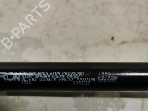 tailgate-lift-support-renault-twingo-ii-cn0_-2007-39663608 main image